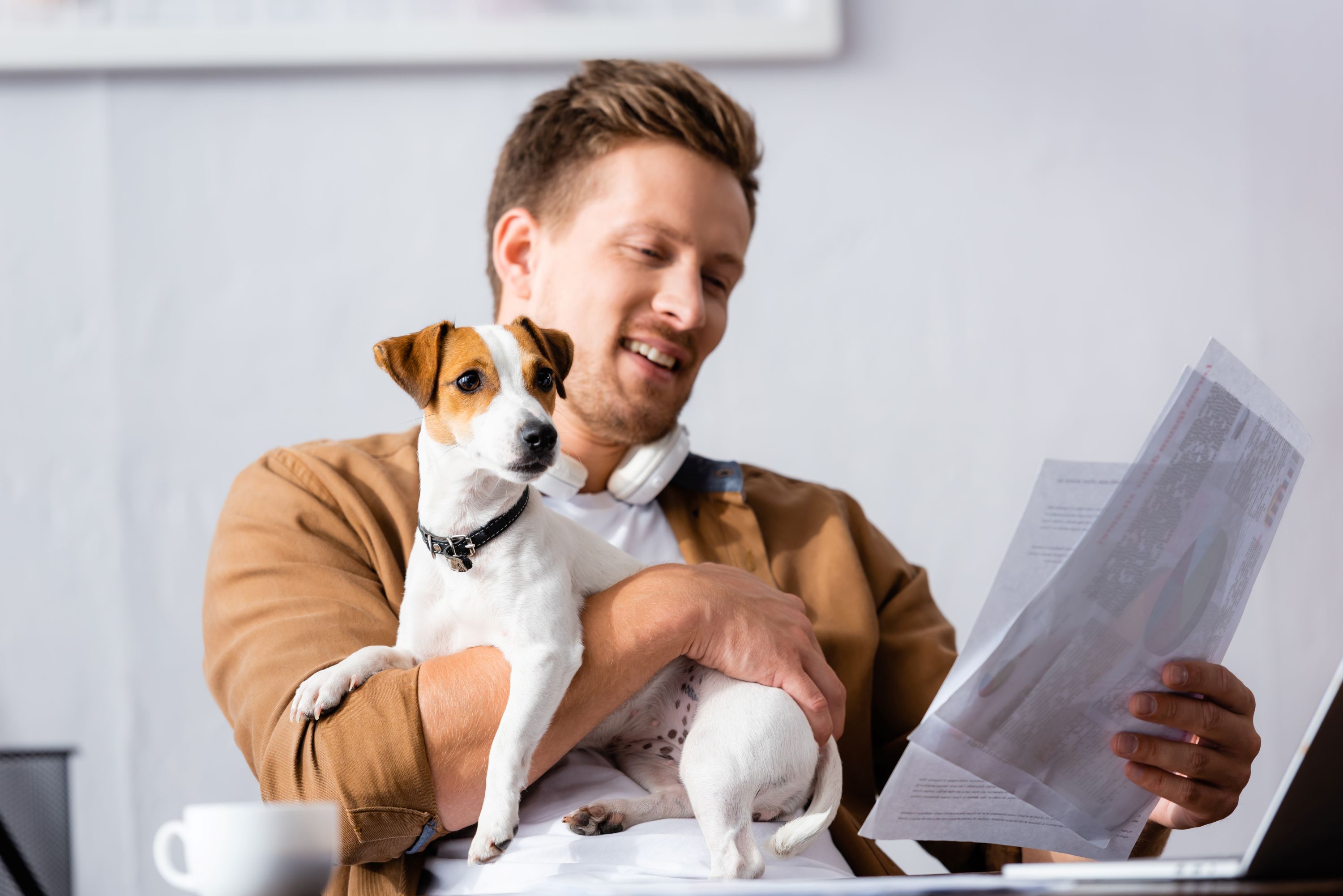 Dog Business Shutterstock 1808815054
