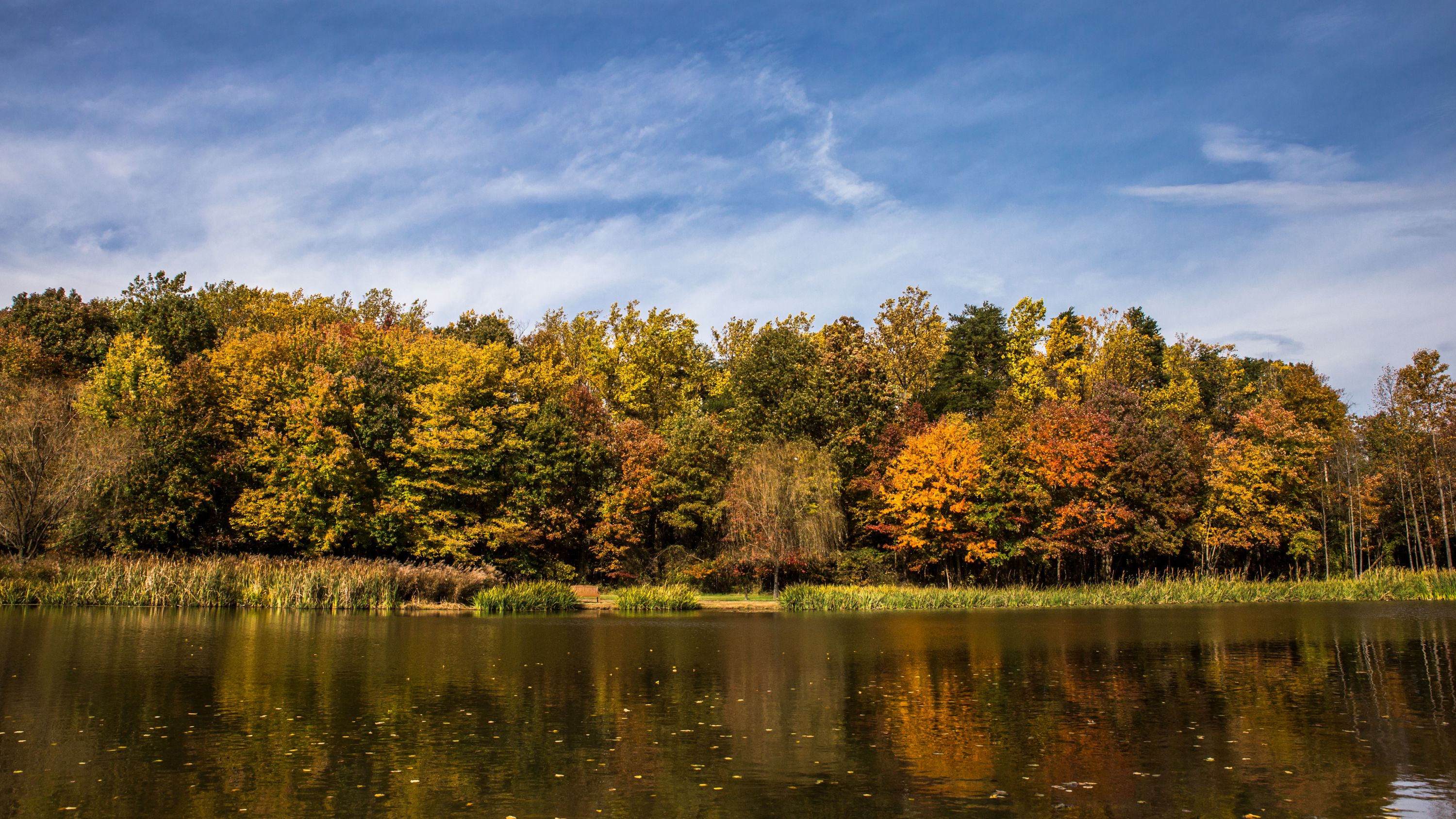Falls Church Shutterstock 1419805784